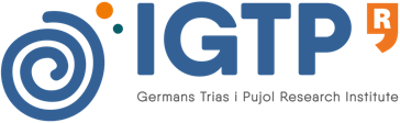 igtp (1)